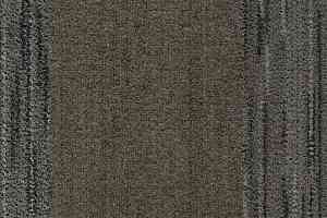 Ковровая плитка Coral Interior 1520 Desert Sand фото  | FLOORDEALER